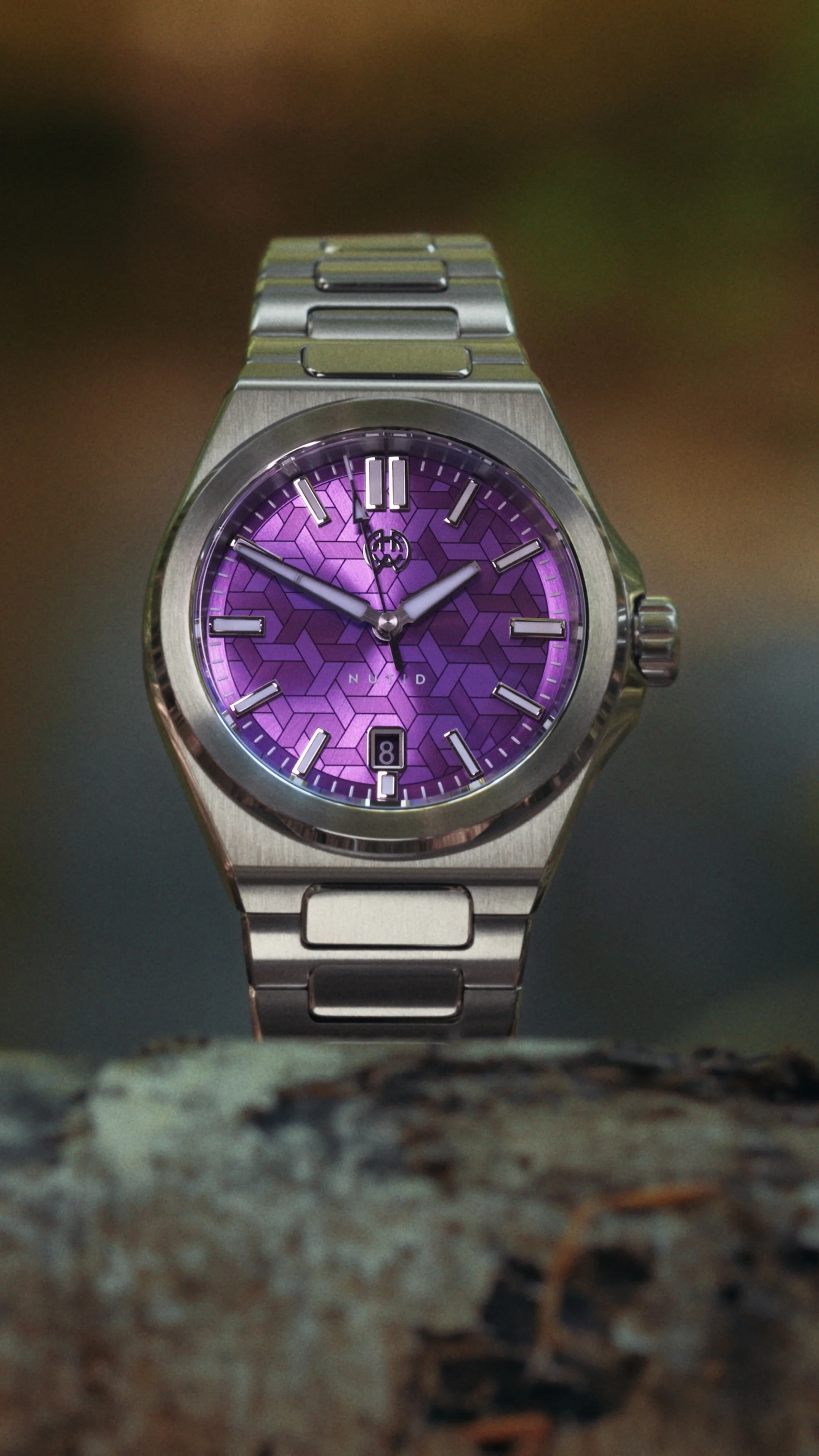 Nutid - Aster - Image 11
